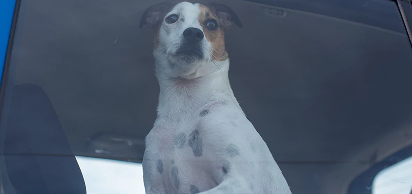 Car Lockout Solutions in Long Beach, California